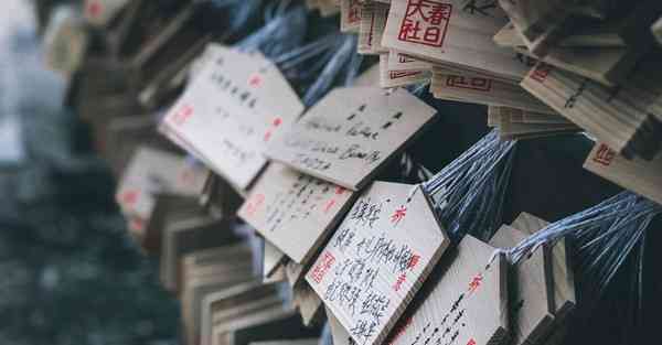 大胡子鱼好养吗_大胡子鱼长多大